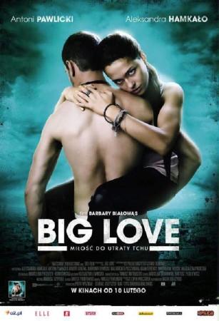   /   / Big Love (2012) DVDRip