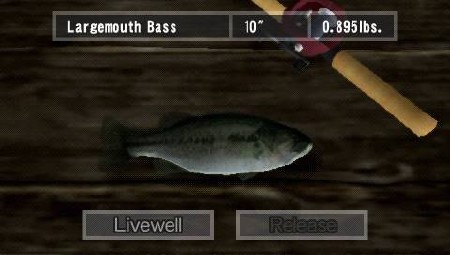 Reel Fishing: The Great Outdoors  6.20 - 6.60  (ENG/2006/PSP)