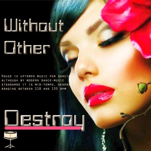 Without Other Destroy (2012)