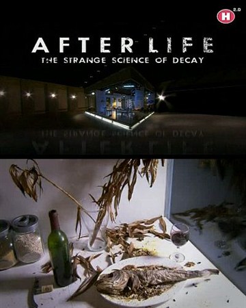 После смерти. Загадочная наука разложения / After life. The strange science of decay (2012 / SATRip)