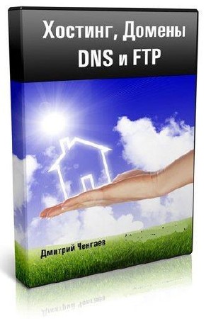    DNS  FTP . (2011)