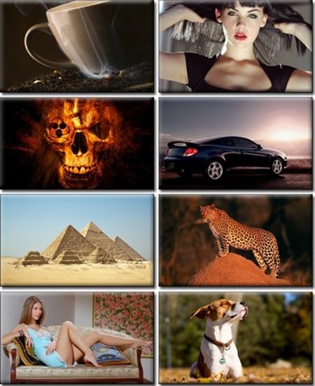 LIFEstyle News MiXture Images. Wallpapers Part (83)