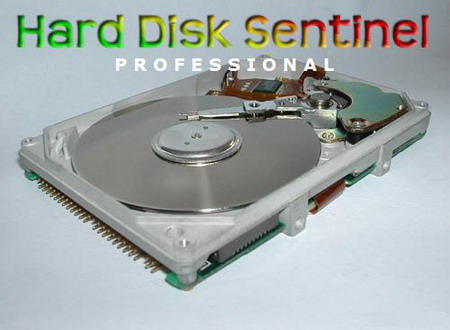 Hard Disk Sentinel Pro 4.50.5 Build 6845