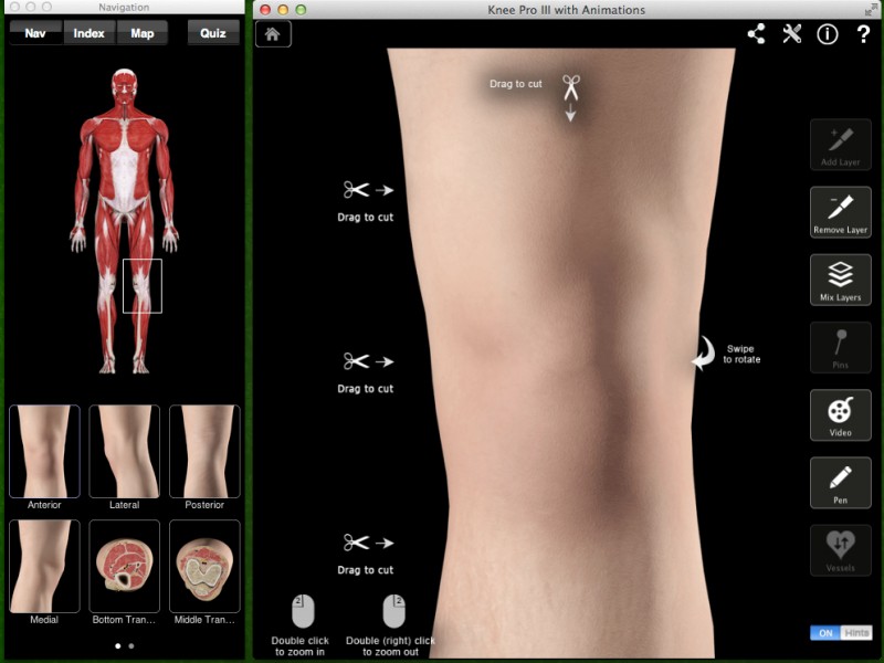 Knee Pro III - анатомия ног человека (колено)