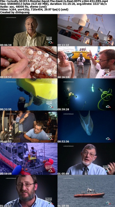 Giant Squid 2013 Documentary