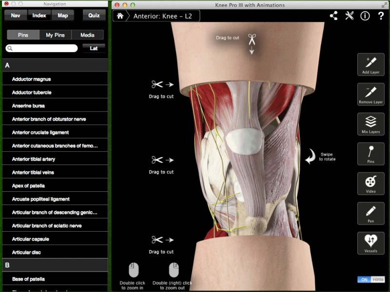 Knee Pro III - анатомия ног человека (колено)