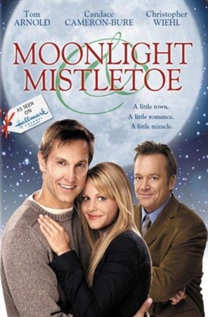 Спасти сказку / Moonlight and Mistletoe (2008 / DVDRip)