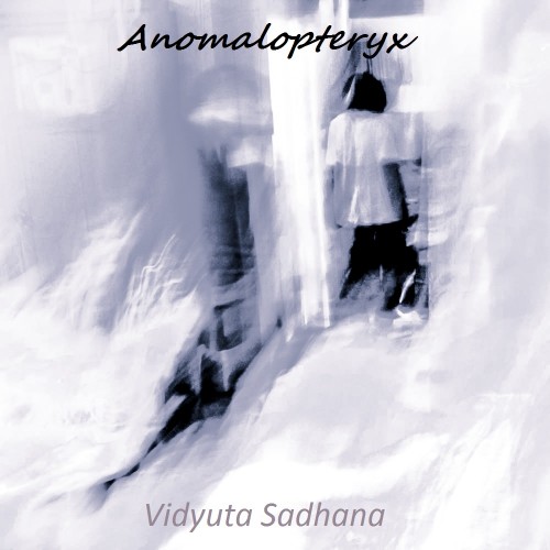 [RUS,  .]( /Morsing) Anomalopteryx - Vidyuta Sadhana - 2013, MP3, 320 kbps