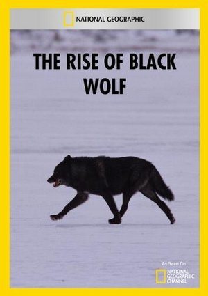    / The Rise of Black Wolf (  / Bob Landis) [2010, , SATRip] National Geographic