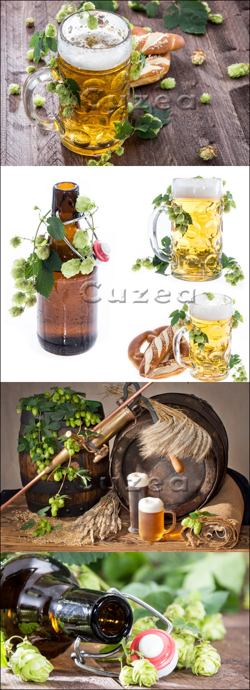 ,       | Hop, glasses and beer bottles on a wooden background - Stock photo