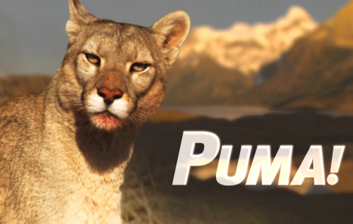 ! / Puma! (  / Uwe Muller) [2012, , HDTVRip]