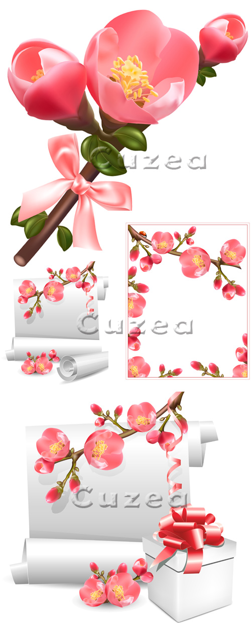      / Vector stock - spring flowers and scroll
