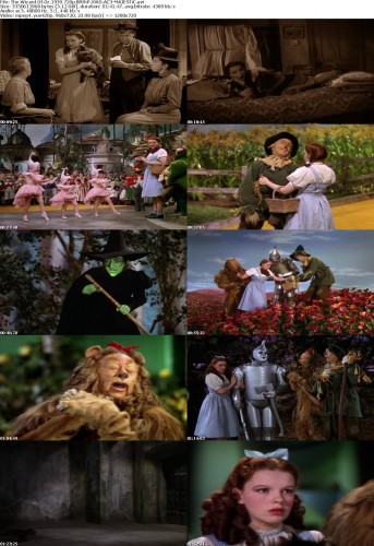 The Wizard Of Oz 1939 720p BRRiP XViD AC3 MAJESTiC