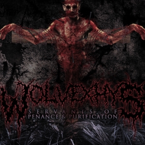 WolveXhys - Enslaver A&#8203;.&#8203;D (Single) (2013)