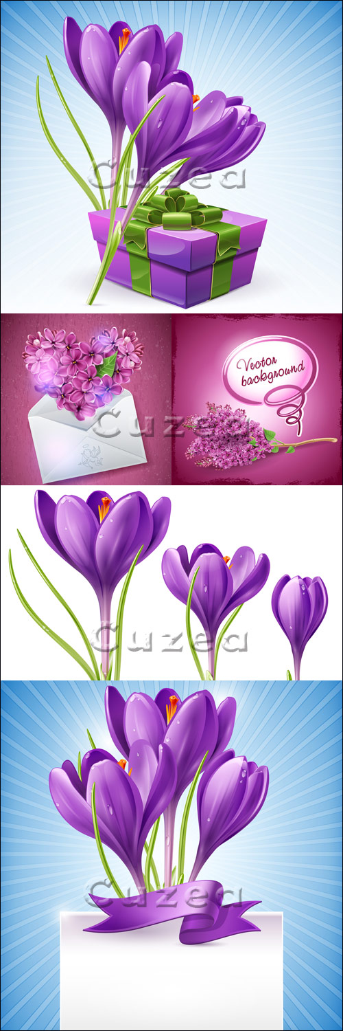    / Spring flowers in vector stock