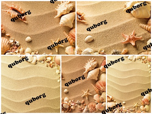 Stock Photos - Seashells Sand