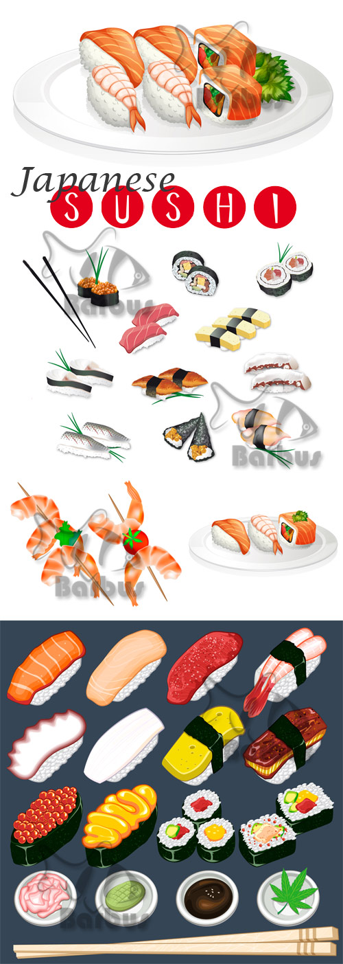 Japanese Sushi /   - vector stock
