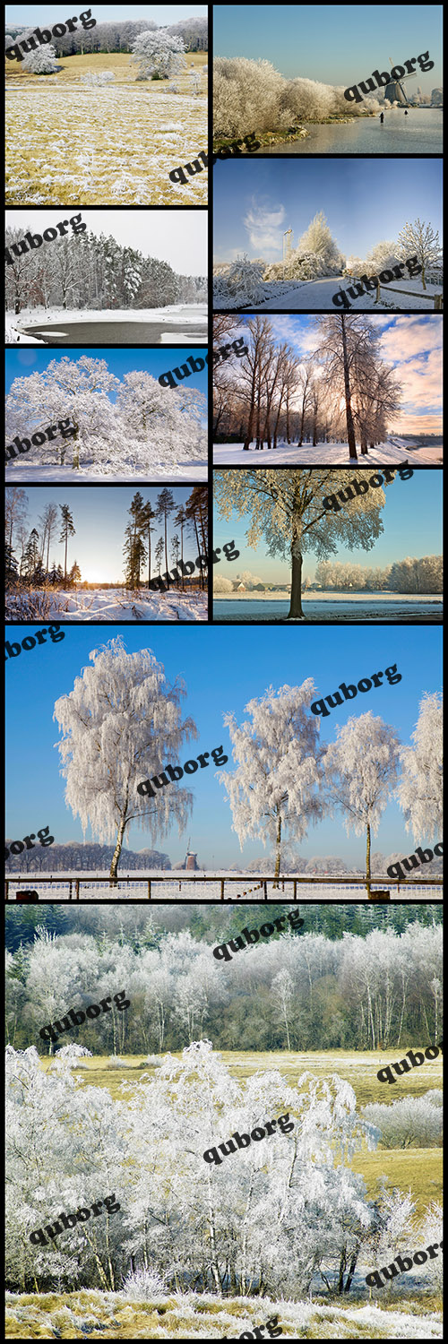 Stock Photos - Nature in Winter