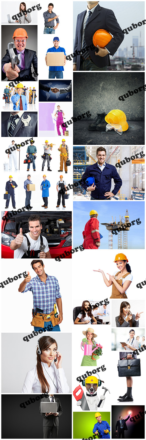Stock Photos - Professionals of the Business