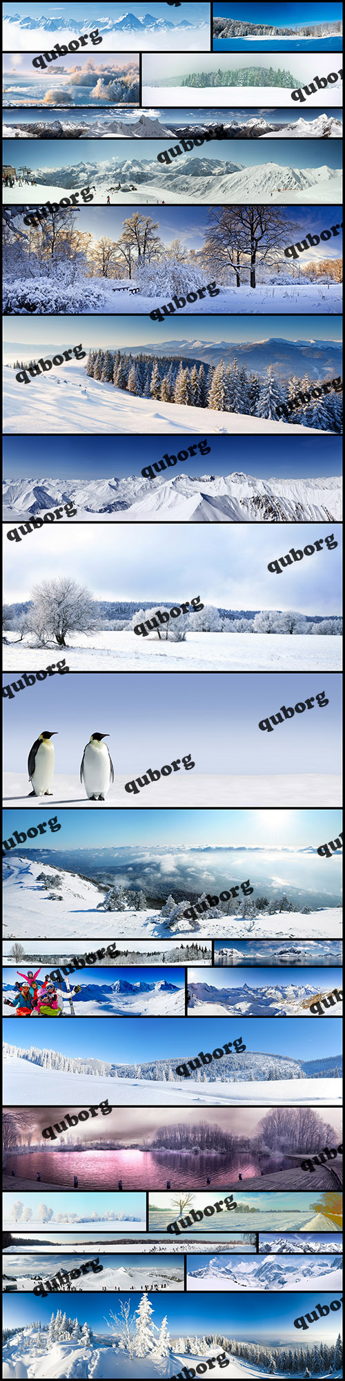 Stock Photos - Winter Panorama