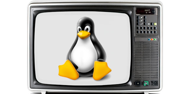 AMD      Linux