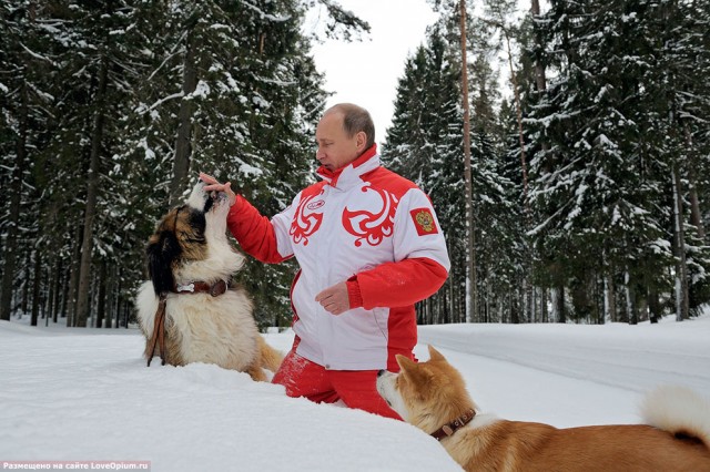 В.Путин на отдыхе со своими любимцами