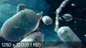  :    / Secret Universe: The Hidden Life of the Cell (2012) HDTVRip 720p