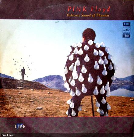 Pink Floyd - Delicate Sound of Thunber (live) (1988) 2LP