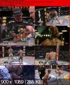 Re: UFC,Strikeforce,WEC,DREAM,...(MMA)
